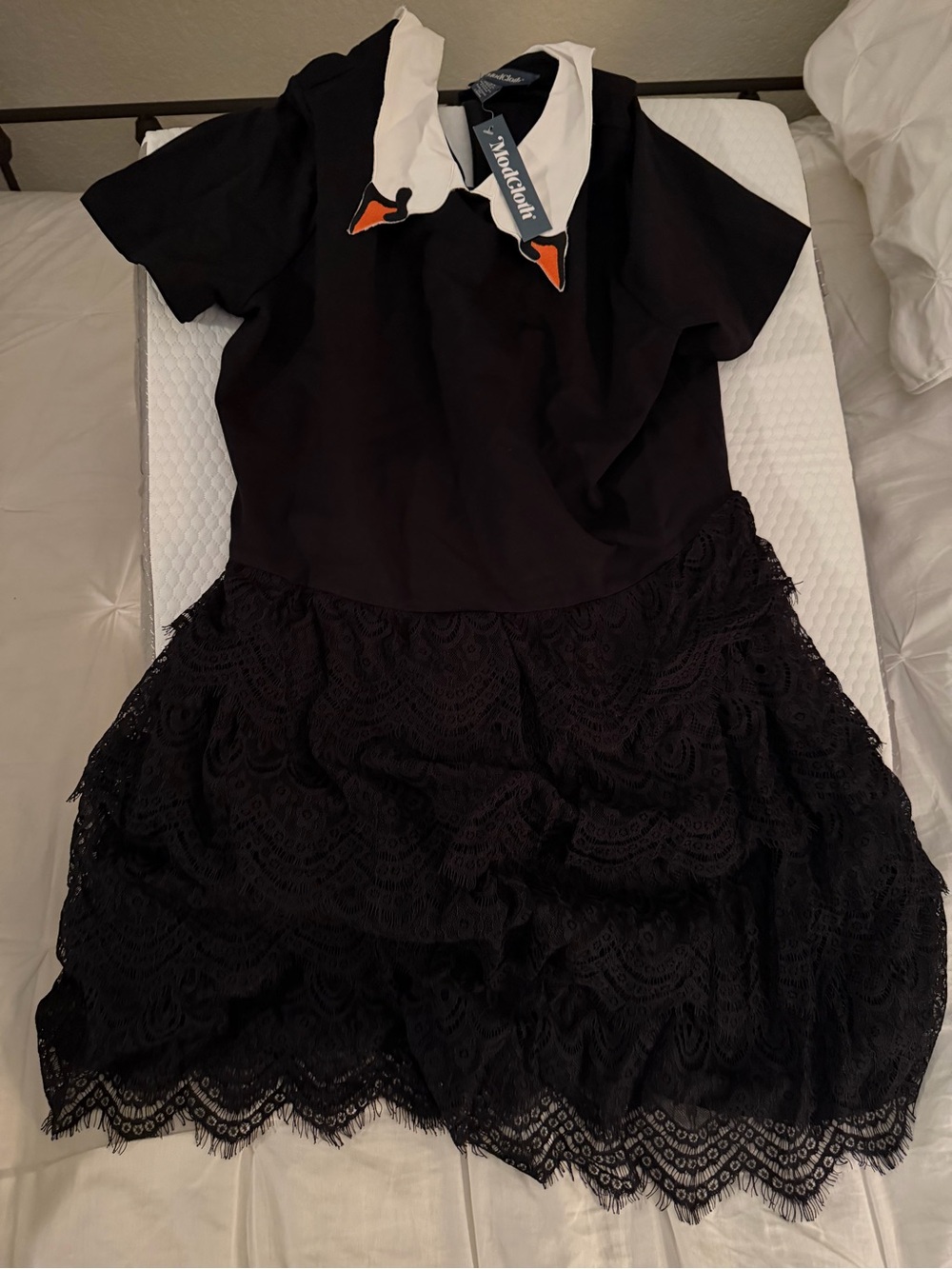 Modcloth Black Mini Dress with Peter Pan Swan Collar
